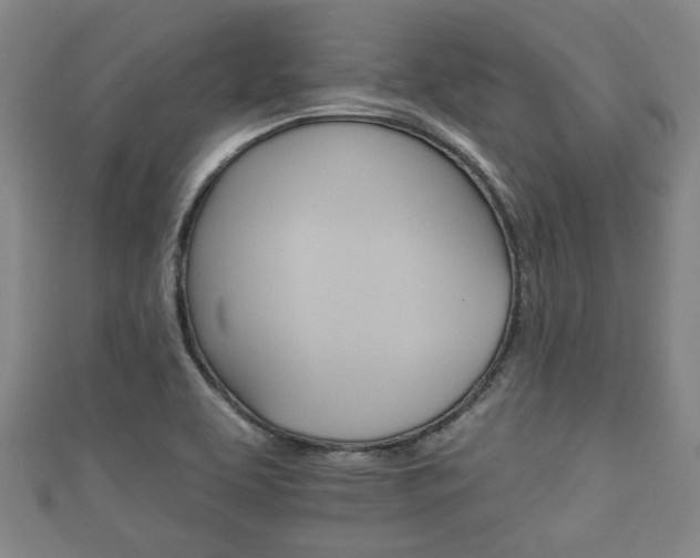 X0000111591463200907231204