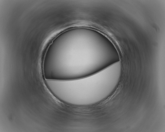 X0000111591464200907231204