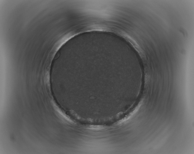 X0000111591465200907231204