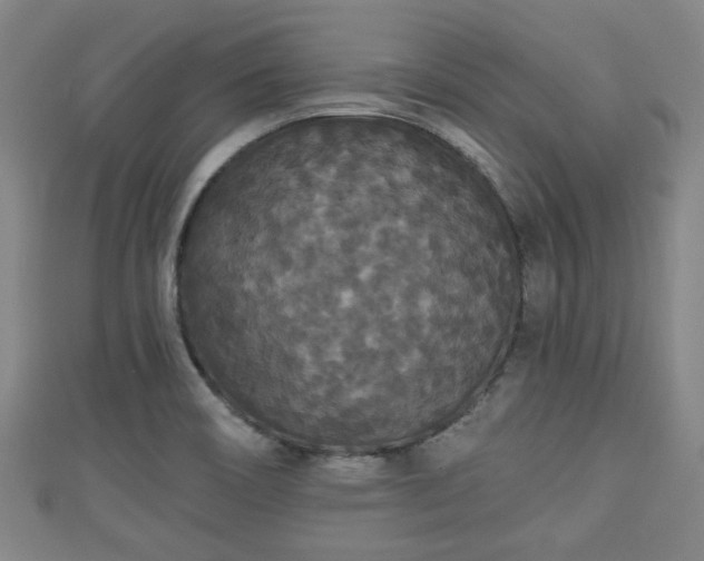 X0000111591466200907231204