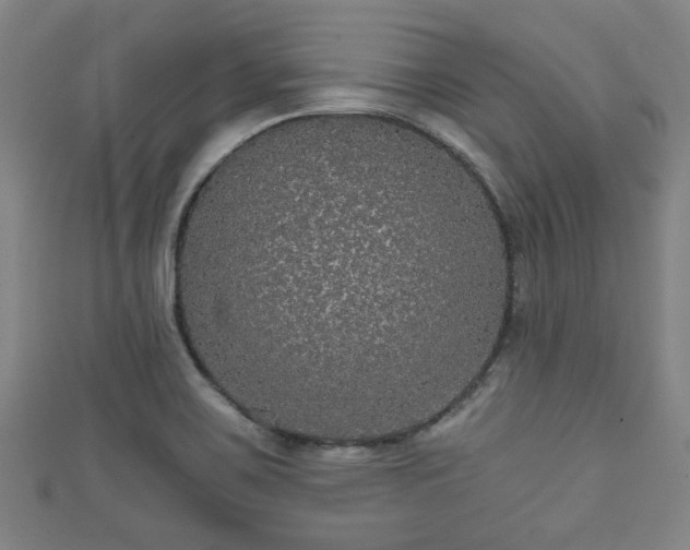 X0000111591467200907231204