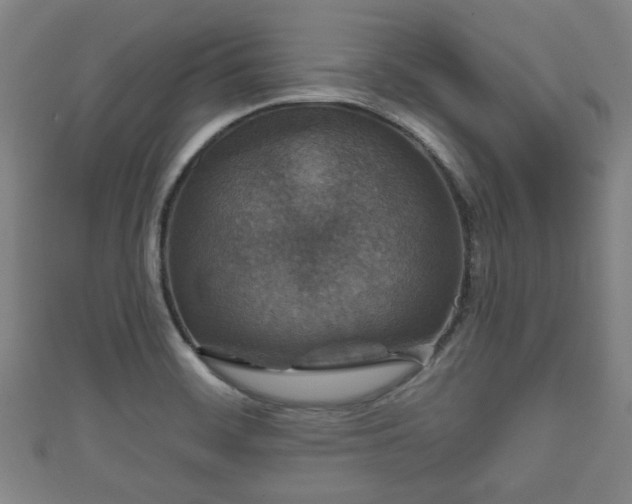 X0000111591468200907231204