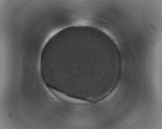 X0000111591469200907231204