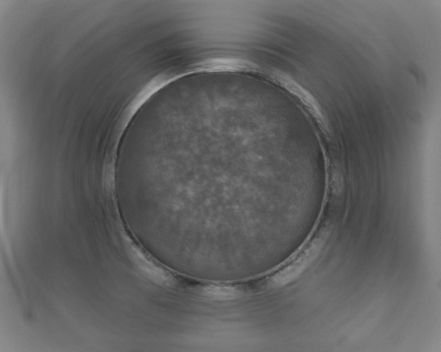 X0000111591473200907231204