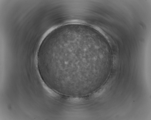 X0000111591474200907231204