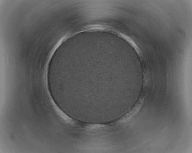 X0000111591475200907231204