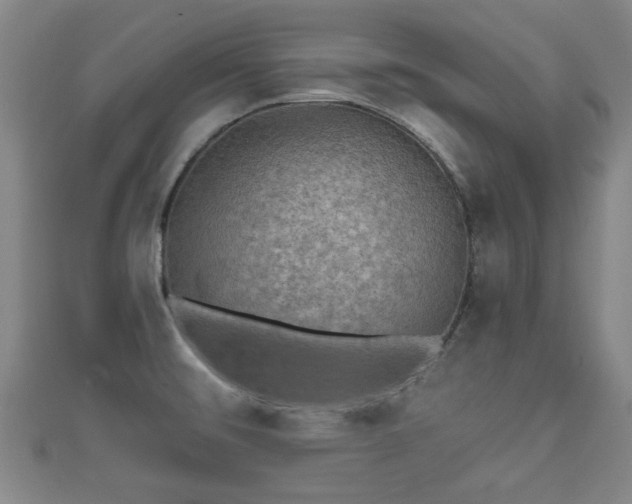 X0000111591476200907231204