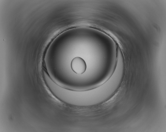 X0000111591477200907231204