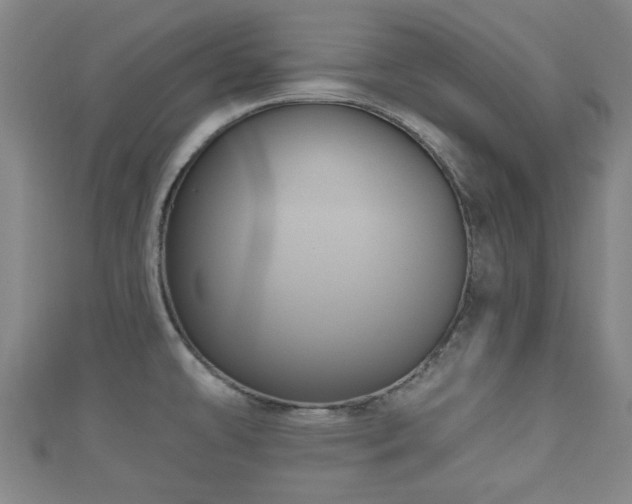 X0000111591478200907231204