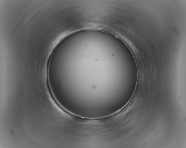 X0000111591479200907231204