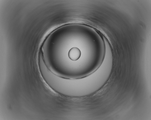 X0000111591480200907231204