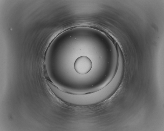 X0000111591481200907231204