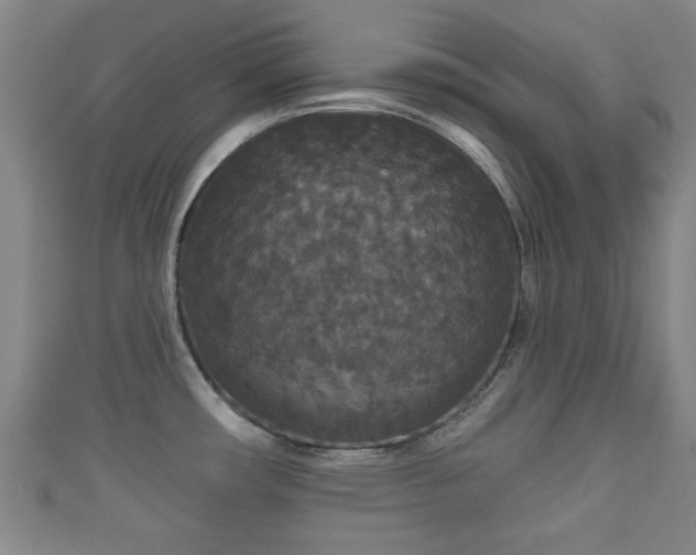 X0000111591482200907231204