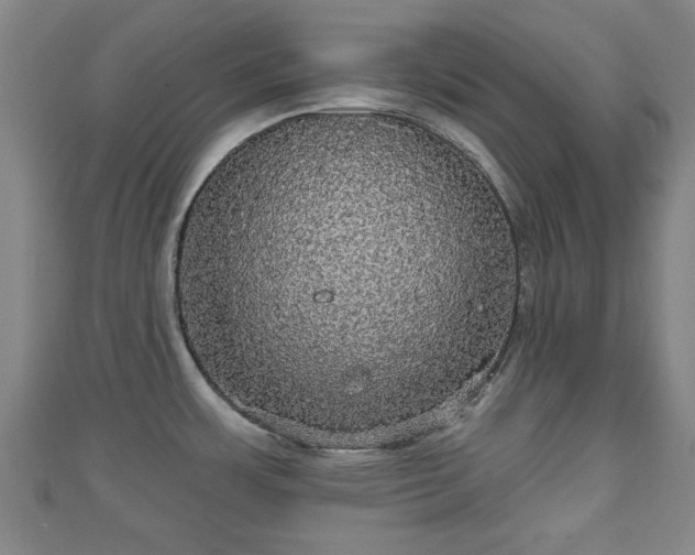 X0000111591483200907231204