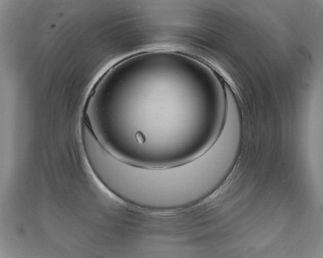 X0000111591484200907231204