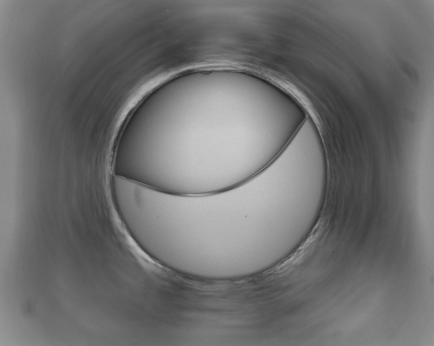 X0000111591485200907231204