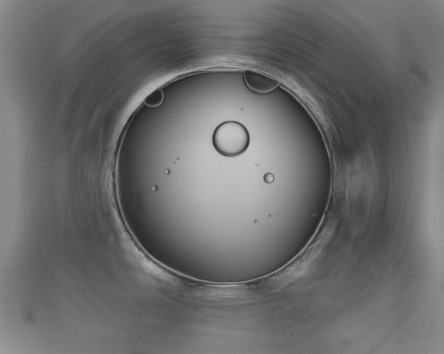 X0000111591486200907231204