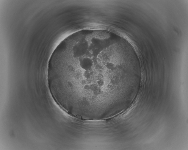 X0000111591487200907231204