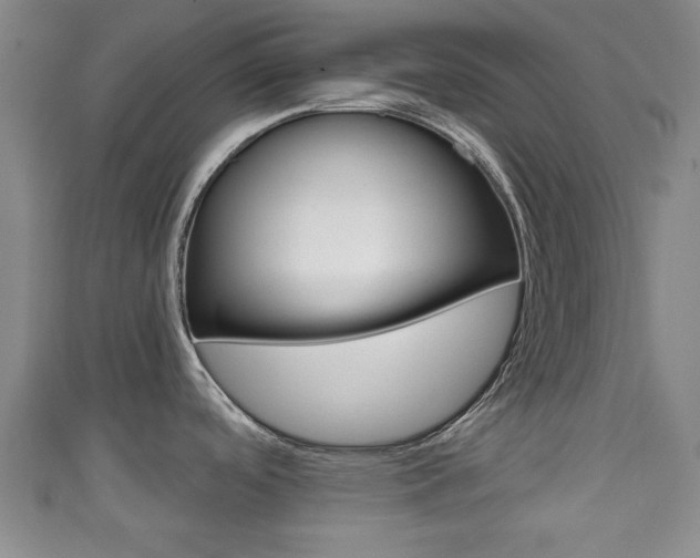 X0000111591488200907231204