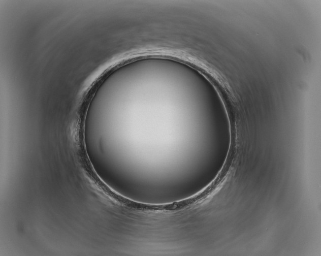 X0000111591502200907231204