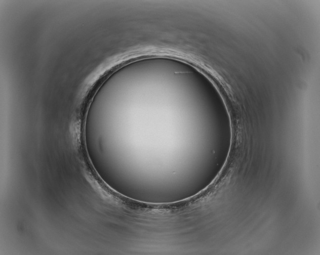 X0000111591503200907231204