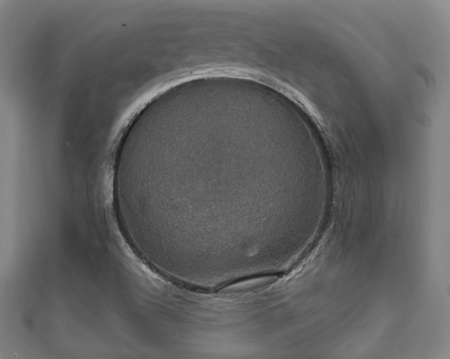 X0000111591504200907231204