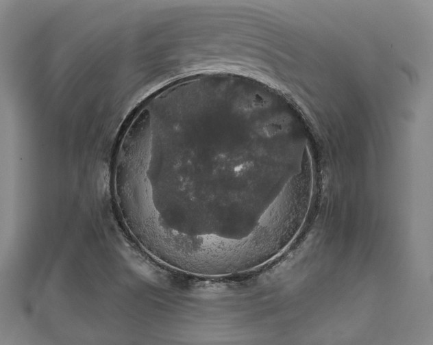 X0000111591505200907231204