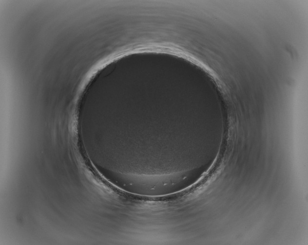 X0000111591506200907231204