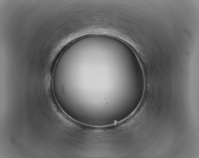 X0000111591507200907231204