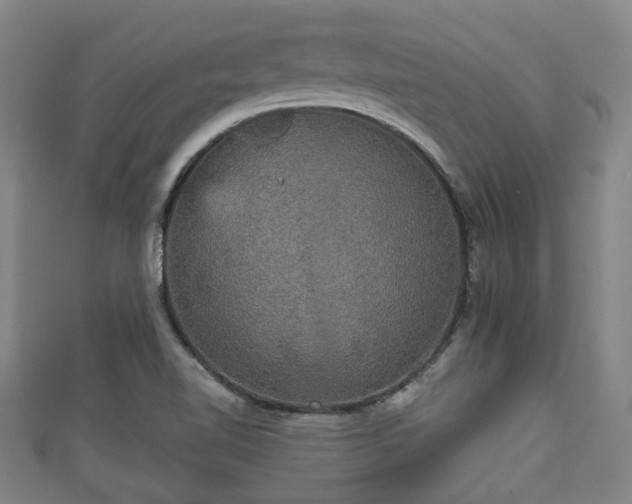 X0000111591510200907231204