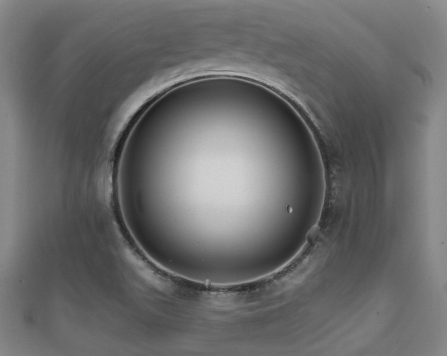 X0000111591511200907231204