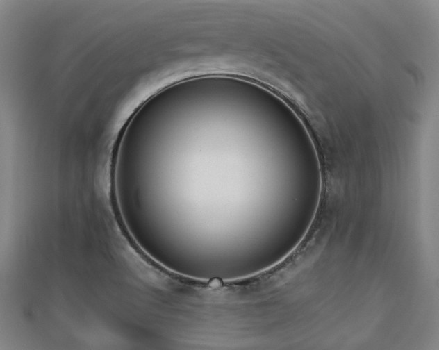 X0000111591512200907231204