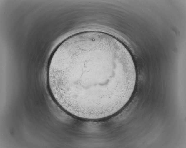 X0000111591514200907231204