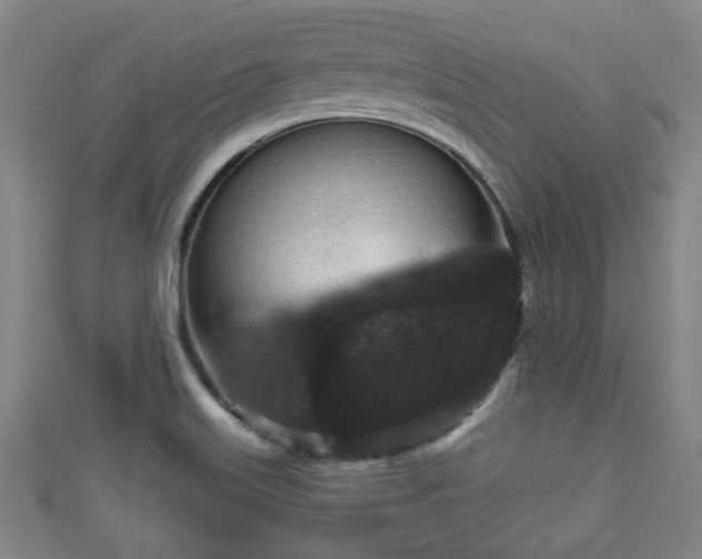 X0000111591515200907231204