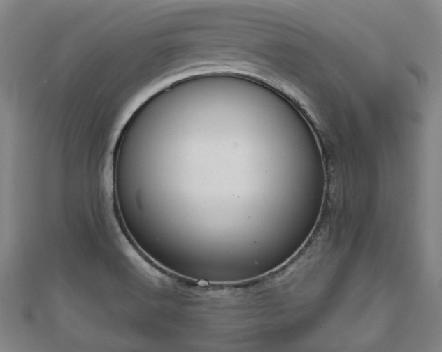 X0000111591516200907231204