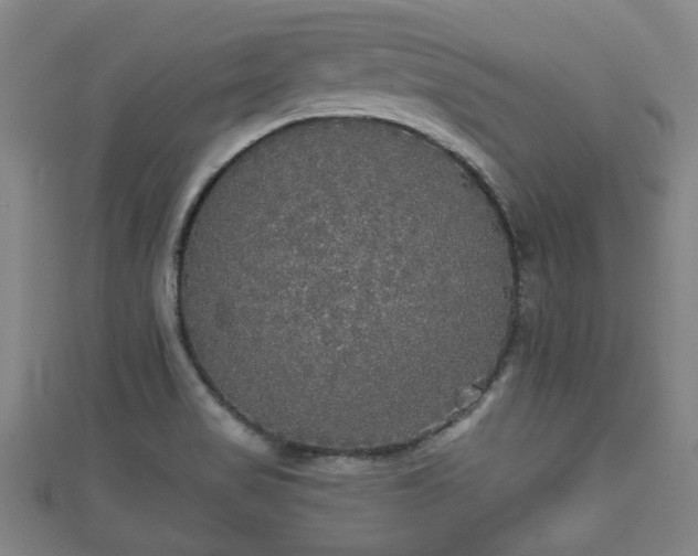 X0000111591517200907231204