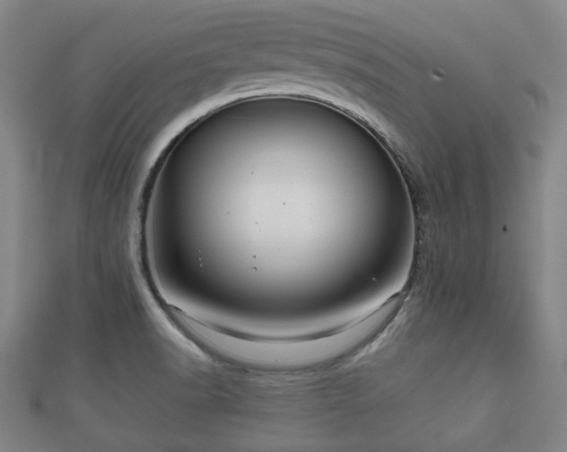 X0000111591518200907231204