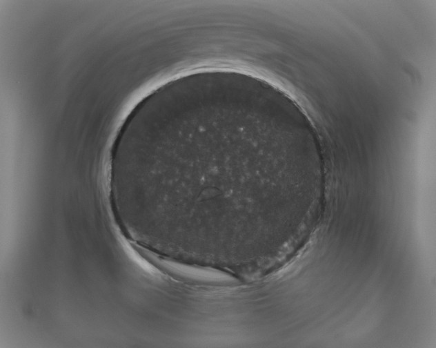 X0000111591519200907231204