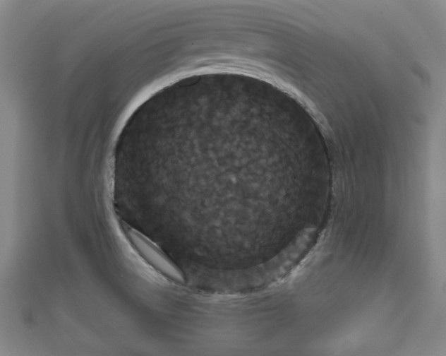 X0000111591522200907231204