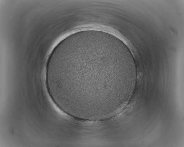 X0000111591523200907231204