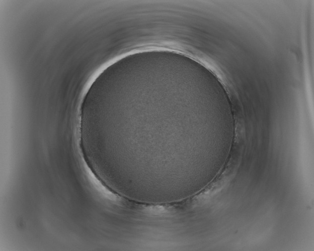 X0000111591524200907231204