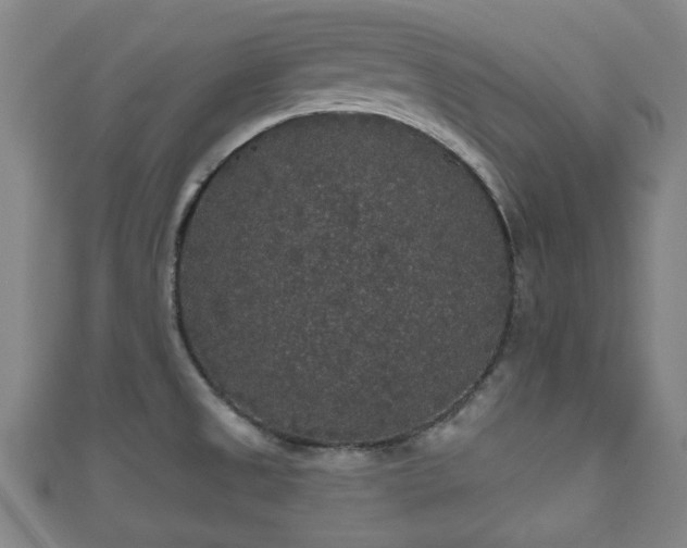 X0000111591525200907231204