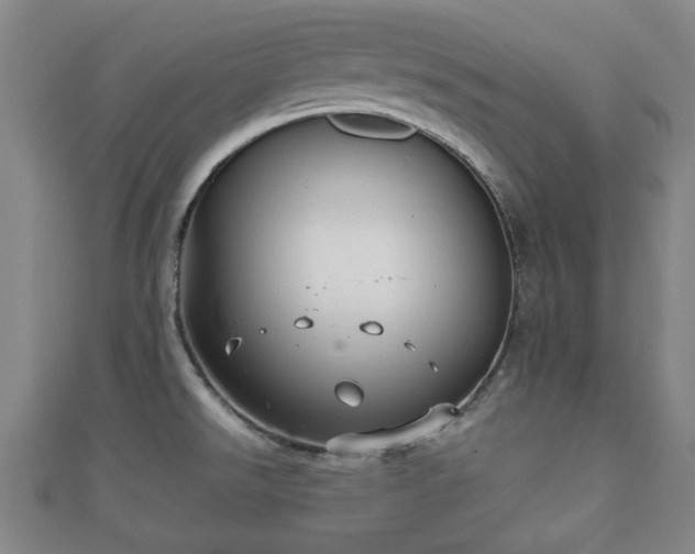 X0000111591526200907231204