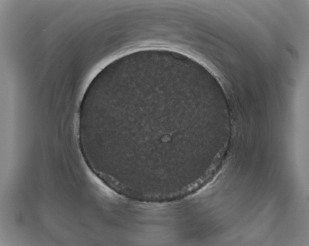 X0000111591527200907231204