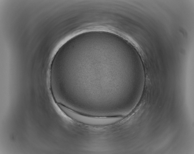 X0000111591528200907231204