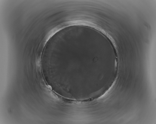 X0000111591529200907231204