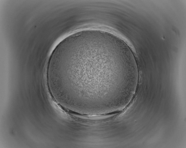 X0000111591530200907231204