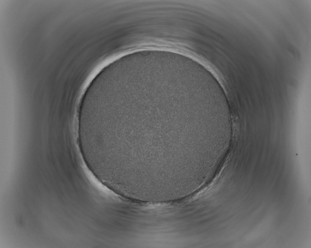 X0000111591531200907231204