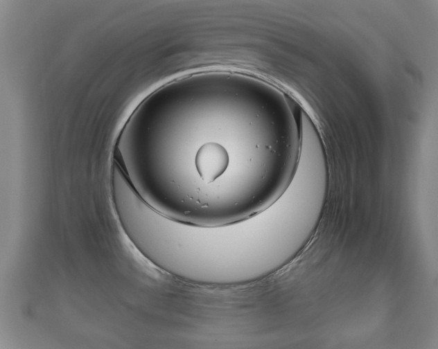 X0000111591532200907231204