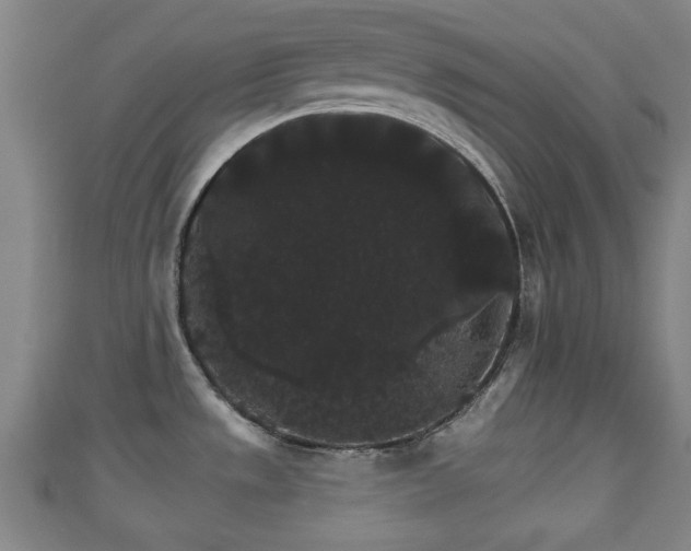 X0000111591533200907231204